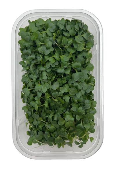 O+G Microgreen, Grünkohl, 75 G/SH