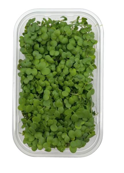 O+G Microgreen, Senf, 75 G/SH