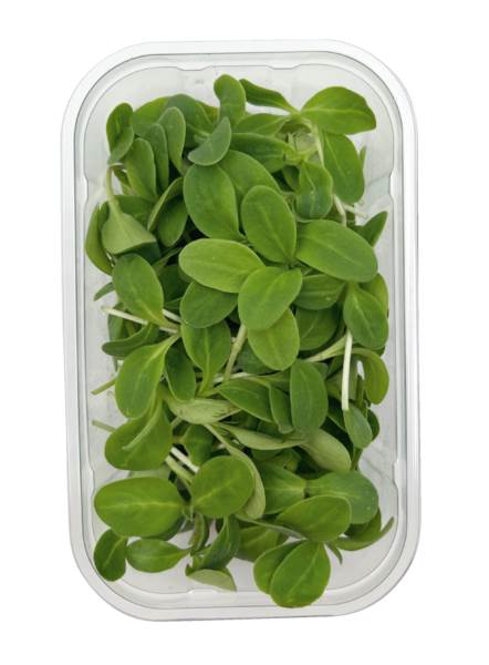 O+G Microgreen, Borretsch, 50 G/SH