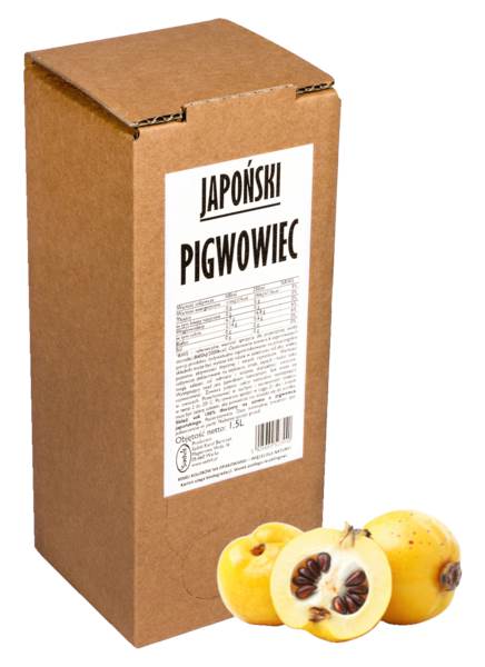 SADVIT Sadvit Sok pigwowiec         1,5 l 1.5 L/BX
