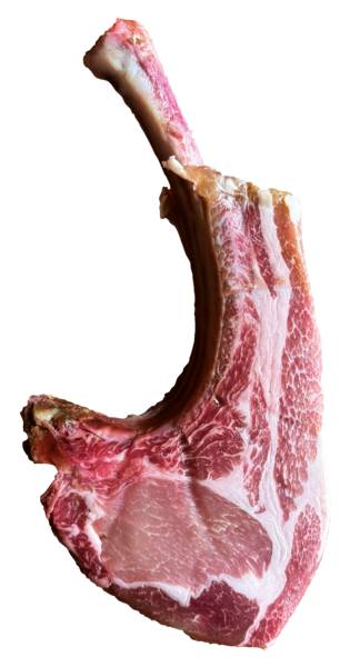 Mr Sokołów Stek Tomahawk wieprzowy, z długą kością żebrową, oczyszczoną, ok.350-550g, ok. 0,5 KG/ST , dojrzewający na sucho, solony,