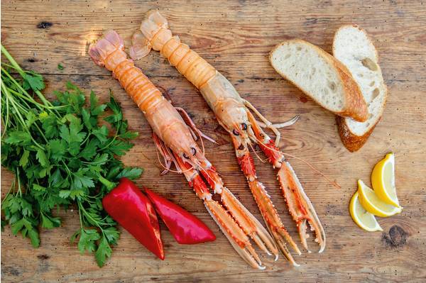 TK 68noord DF Norwa lobster whole raw 4/8 1kg 1 KG/PK