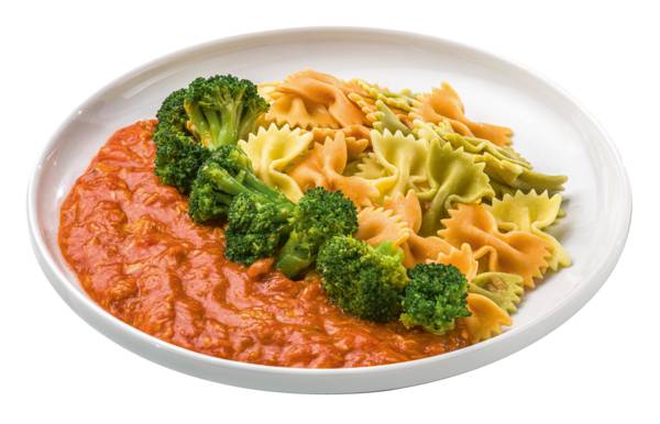 Farfalle Tricolore mit Thunfischsauce