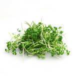 Karse peber (gartner) Danmark, 30 g