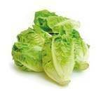 Salat hjerte/mini romaine KL1 Spanien, 2 stk.