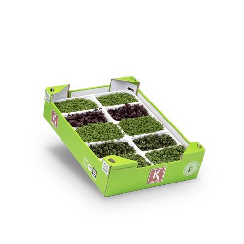Karse Mix (alm.,Sakura,Purper,Brocco,Rucola) KL1 Holland, 10 bk