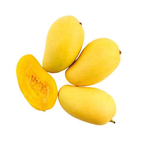 Mango Ataulfo KL1 Ecuador, 4 kg ekologisk