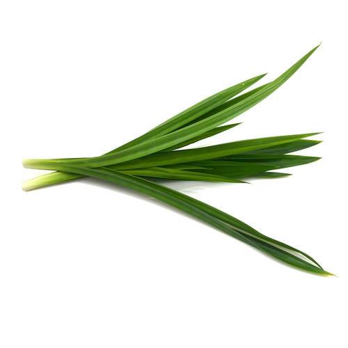Pandanblade KL1 Thailand, 100 g