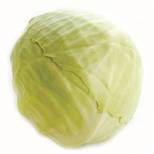 Hvidkål KL1 Holland, 6 stk/10 kg