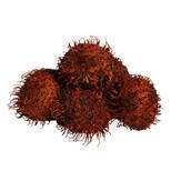 Rambutan KL1 Indonesien, 2 kg