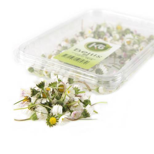 Blomst Bellis KL1 Danmark, 30 g