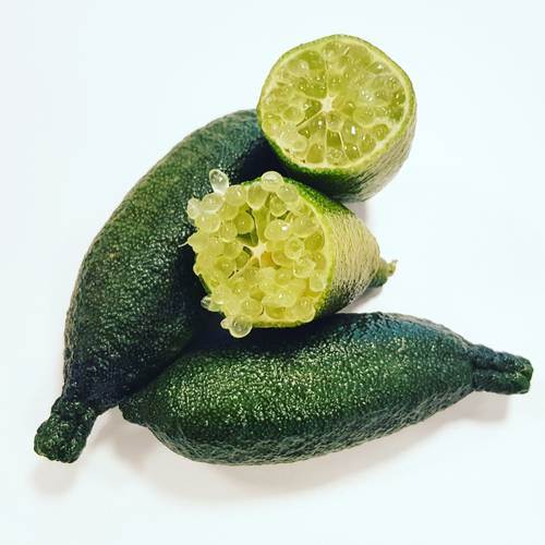 Citron kaviar KL1 Marocko, 100gr