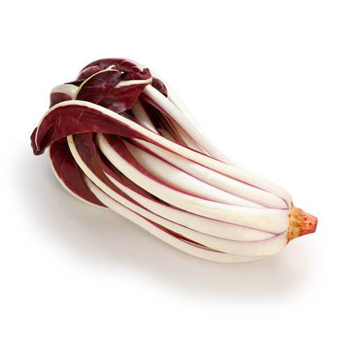 Salat Radicchio Rosso Tardivo di Treviso KL1 Italien,Finger radicchio 1,3 kg