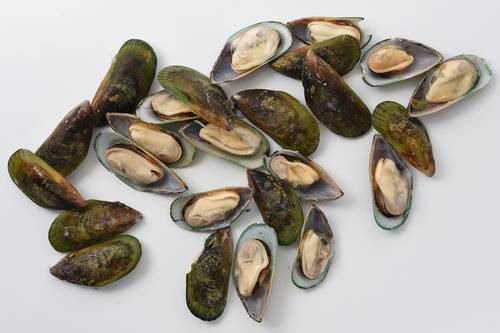 Muslinger grønne med skal, medium, 1 kg