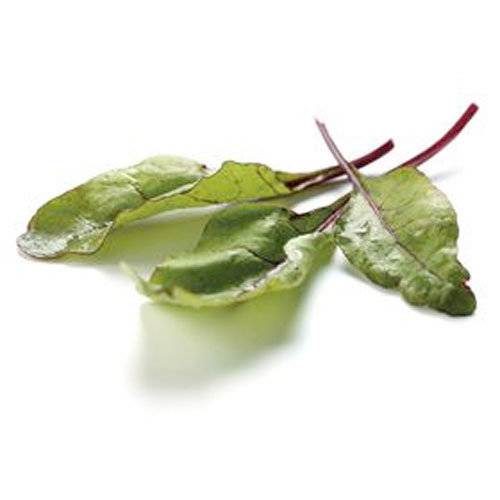 Salat rød mangold KL1 Italien/Danmark, 500 g