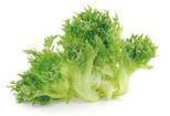 Salat frillice/ærtesalat KL1 Danmark, 8 stk.