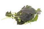 Salat Mizuna rød KL1 Danmark, 100 g