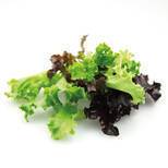 Salat Crisp mix KL1, 100 g
