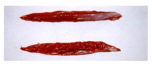 Lamminnerfilé, Nya Zeeland, ca. 450 g