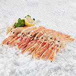 Jomfruhummer, fersk, størrelse 15-20, Nephrops norvegicus, kg