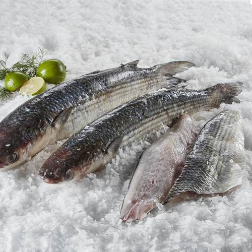 Multefilet med skind, Chelon labrosus, kg