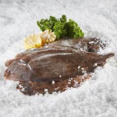 Søtunge filet, Solea solea, pr.kg