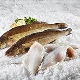 Sandart filet med skind, Sander lucioperca, kg