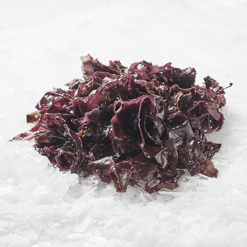 Tang Søl (Palmaria Palmata), 1 kg