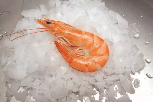 Rosé rejer, kogt, Penaeus vannamei, 2 kg