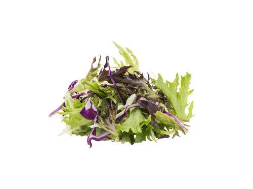 Salat Brassica snittet rød crisp, grøn crisp, spidskål, rød spidskål, 400g