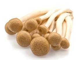 Svampe Bøgehatte brune KL1 Korea/Kina, 150 g