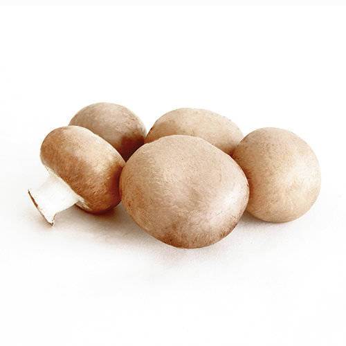 Champignon mark brune uden rod KL1 Polen, 400 g