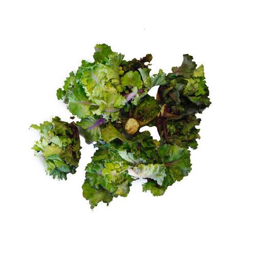 Flower Sprouts KL1 Danmark, 200 g