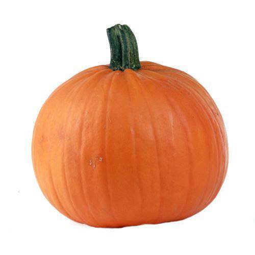 Græskar Halloween 3-7 kg, stk.