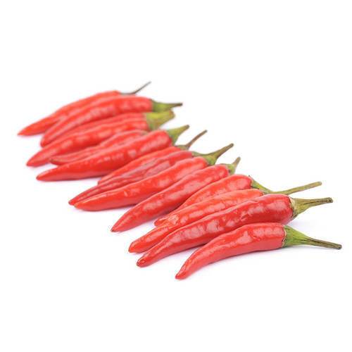 Chili Rawit rød KL1 Holland/Spanien, 2 kg