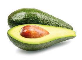 Avocado umoden KL1 Spanien/Kenya, 24 stk.